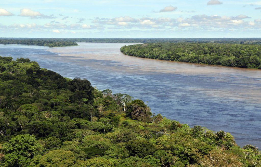 Aerial view of the Amazon rainforest, near Manaus, by Neil Palmer [CC BY-SA 2.0]